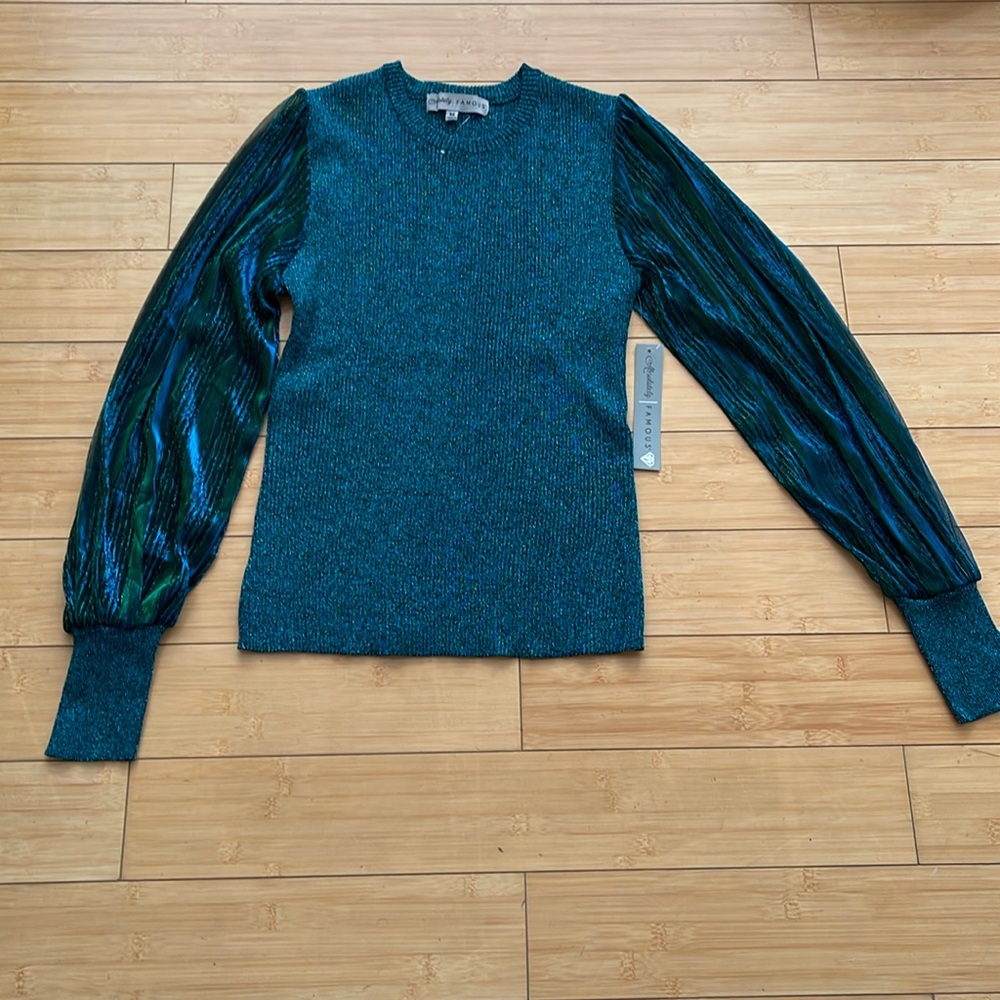 Women Holiday Party Shimmer Sweater W/ See through Puffy Sleeves NWT Zara M